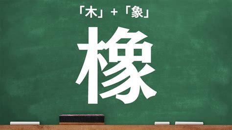 木 象|木＋象の漢字「橡」！読み方や意味などを一発チェック